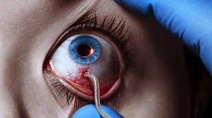 Watch The Strain 2014 full series on Fmovies