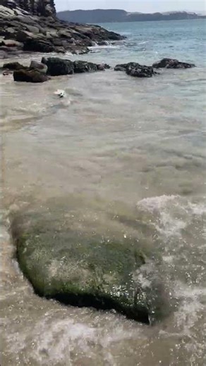 Momentos de puro Asmr #relax #asmr #puroasmr #paratiiiiiiiiiiiiiiiiiiiiiiiiiiiiiii #naturaleza