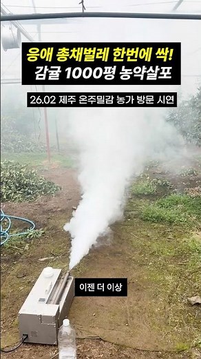 감귤 하우스 총채벌레, 응애 쉽게 박멸하는 방법