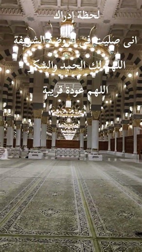 #الشعراوي #ادعية #دعاء #الدعاء_المستجاب #المسجد_النبوي #الروضة_الشريفة #مكة #الشعب_الصيني_ماله_حل