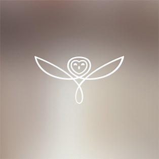 Young Talent | Training the Next Generation