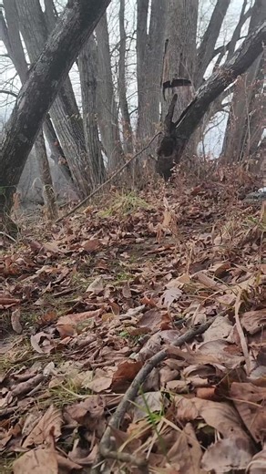 Exploring the WPL E-1 RC Track Vehicle