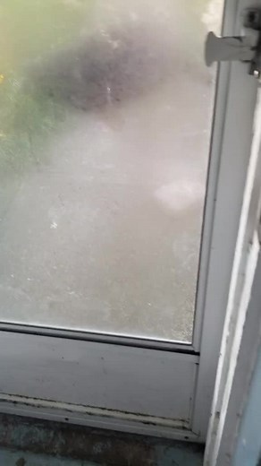 Life as a Lighthouse Keeper Living with Elephant Seals