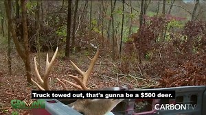 30K views · 70 reactions | $500 deer?! See what happens. Watch the...