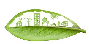 The 4 Environmental Costs of Meat and Why Plant-Based Diets Are More Sustainable