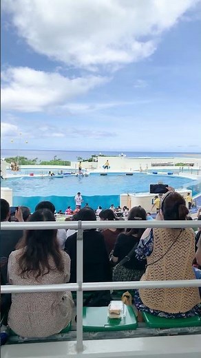 I went to see the Oki-chan Theater/dolphin show at Okinawa Churaumi Aquarium in Motobu Town, Kuni...