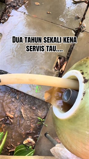 Essential Water Dispenser Maintenance Tips Every 2 Years