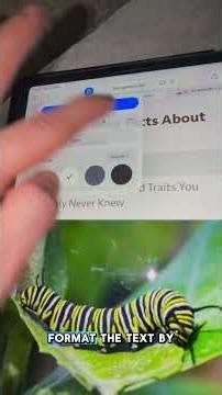 I just want to share this really useful accessibility tool I use in class with my students when