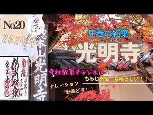 【光明寺】◉もみじ参道 秋に訪れたい寺院 長岡京市の寺
