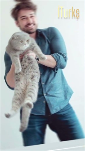 #Alpnavruz cats 😻😻🥰love 💕#for #Turkish actor and model 🤩🥰 ‪@ITurks-official‬