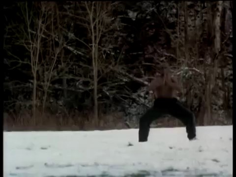 Az utolsó gladiátor