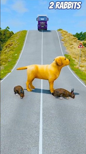 Dog & 2 Rabbits eat grass or Beautiful Cars Stylish Bus Model Beamng drive