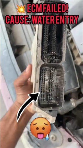 Water Inside ECM Module! | Hidden Cause of Engine Failure 🚗 #automobile #mechanic