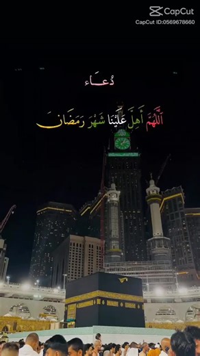 sorab ameede on TikTok