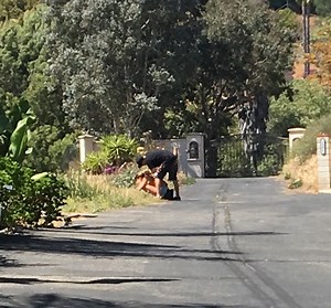 Shut Down The Party House