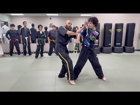 Tiger & Crane Kung Fu: The Hung Gar Fight System