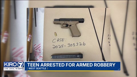 VIDEO: Teen arrested for armed robbery