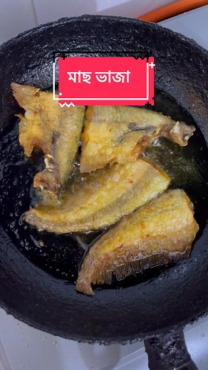 Fish Fry Recipe: Perfectly Crispy and Flavorful