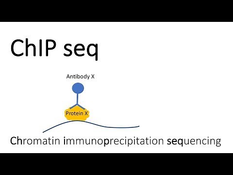 ChIP seq - Chromatin Immunoprecipitation sequencing