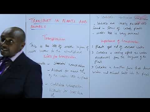 KCSE_Form 2_Biology_Transport in Plants and Animals_Lesson 8