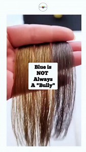 2.3K views · 19 reactions | Blue isn't always a bully...  Why do we...