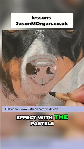Pastel Drawing : Achieve Smooth Effects with Layering - Wildlife Art