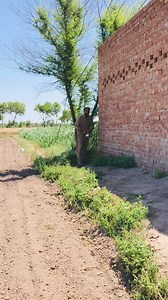 AnAnimoji rotini Kennedy | Invenzo