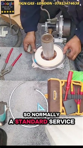 Vaillant Service Secret: DGN GAS Checks This!