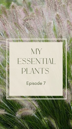 7.6K views · 187 reactions | I wouldn't design a garden without some...