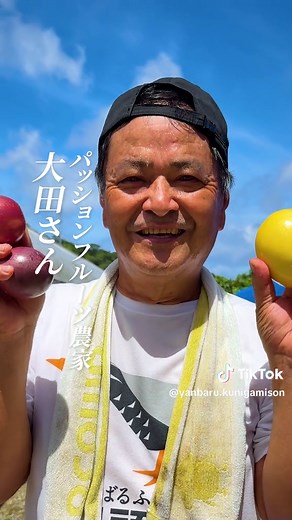蜂には任せない。 一つひとつ、手で受粉する。 国頭村で育つパッションフルーツは、 爽やかな酸味と濃厚な南国の香りが魅力です。 でも、大田さんがこだわっているのは、 その中身の詰まり方。 手作業で受粉することで、 ぎっしり詰まった実に育てていきます。 さらに、完熟して落ちる瞬間まで見極めて、 一番おいしい状態で届ける。 手間を惜しまないからこそ生まれる、 濃厚アロマの一玉。 この夏、その味と香りを体験してみませんか？ #沖縄 #国頭村 #農業 #収穫 #パッションフルーツ