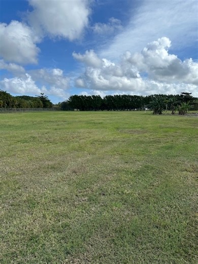 24001 SW 202nd Ave, Homestead, FL 33031 - Land for Nursery, 5 Acres with House on Land | LoopNet