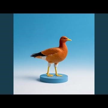 Breathing Starlight Sky