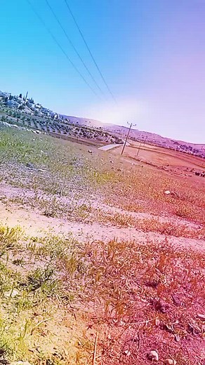 Captivating Rural Landscape: A Static View of Nature