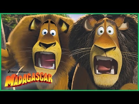 Vida Selvagem na África! 🦁🌴 Compilação Completa! | DreamWorks Madagascar em Português