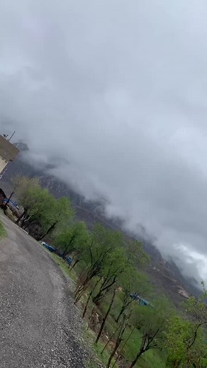 Serene Rural Landscape: Lush Greens and Mountainous Backdrop