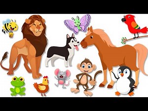 A cui este casuta - Copilasi Dragalasi - Desene animate educative