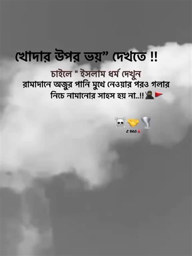 Explore Next Chapter: Taiping & Edit Insights