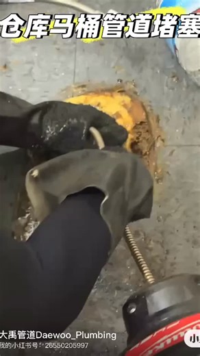 Toilet Clog Removal | Powerful Drain Cleaning in Action#ToiletClog #DrainCleaning #Plumber #UnclogToilet #PlumbingLife #HydroJetting #PipeCleaning #losangelesplumber | Daewoo大禹管道