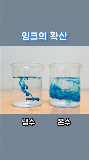온도에 따른 액체의 확산. #액체 #확산 #Liquid #Diffusion #과학실험 #ScientificExperiments