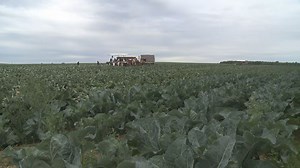 Sixth-generation Smith's Farm is one of the East's largest