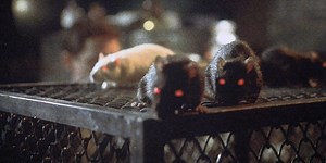 Rats: Night Of Terror | Trailers From Hell