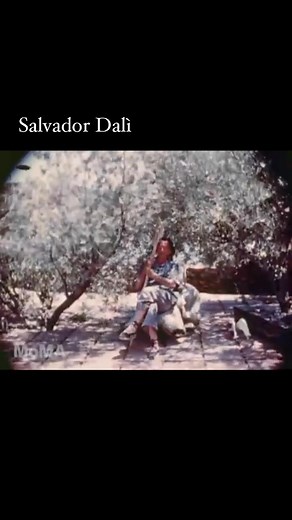 15K views · 322 reactions | ---  Surreal Moments at Home...