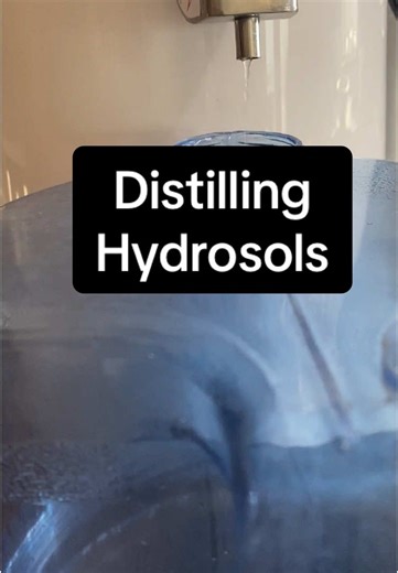 5:16 Homestead on TikTok