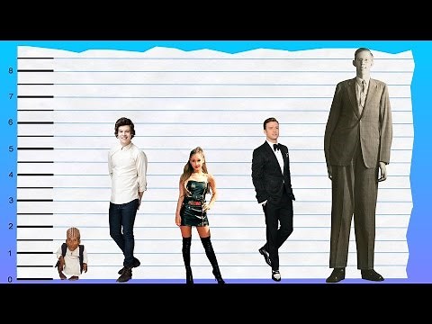 How Tall Is Harry Styles? - Height Comparison!