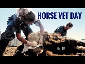 HORSE VET DAY vlog 255