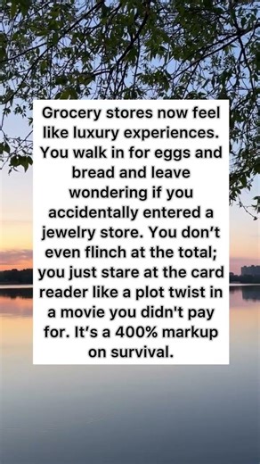 The Grocery Store Plot Twist #money #inflation #funny #shorts