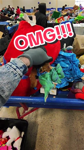Thrifting Adventures at the Goodwill Bins