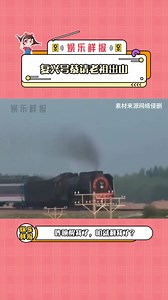 高铁：宗门遭逢大节，请老祖出关！#内燃机 #国庆