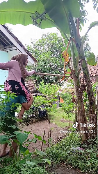 kapanggih maok jantung @Dhenia gunawan #sketsasunda #bodorsunda #ngakak