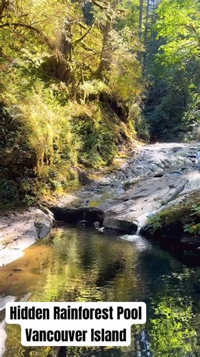 Hidden Rainforest Pool in Golden Light | Peaceful Nature Sounds